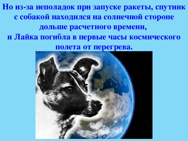 Но из-за неполадок при запуске ракеты, спутник с собакой находился на солнечной стороне дольше расчетного времени, и Лайка погибла в первые часы космического полета от перегрева. 