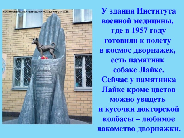 У здания Института военной медицины, где в 1957 году готовили к полету в космос дворняжек, есть памятник собаке Лайке. Сейчас у памятника Лайке кроме цветов можно увидеть и кусочки докторской колбасы – любимое лакомство дворняжки. 