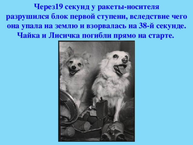 Через19 секунд у ракеты-носителя разрушился блок первой ступени, вследствие чего она упала на землю и взорвалась на 38-й секунде. Чайка и Лисичка погибли прямо на старте.  