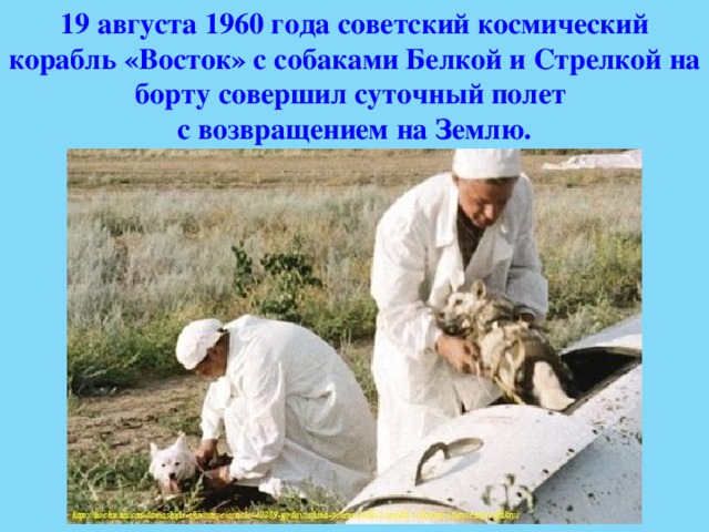 19 августа 1960 года советский космический корабль «Восток» с собаками Белкой и Стрелкой на борту совершил суточный полет с возвращением на Землю. 