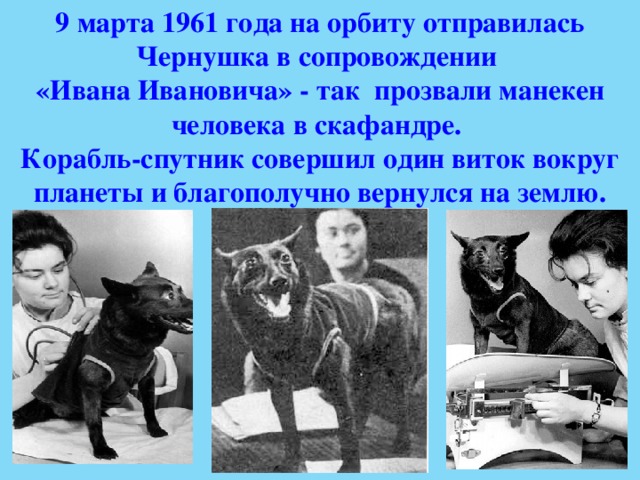 9 марта 1961 года на орбиту отправилась Чернушка в сопровождении «Ивана Ивановича» - так прозвали манекен человека в скафандре. Корабль-спутник совершил один виток вокруг планеты и благополучно вернулся на землю. 