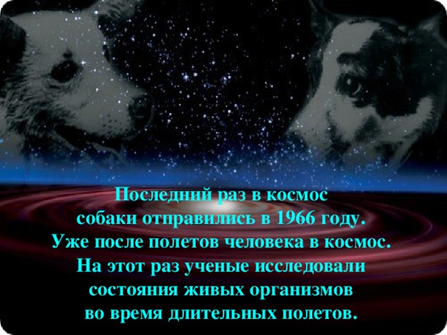 Цыган, Кусачка, Чижик, Дамка, Снежинка, Рыжик,, Рита, Бульба, Кнопка, Минда, Отважная, Жемчужная, Малёк, Жульба, Кнопка, Последний раз в космос собаки отправились в 1966 году. Уже после полетов человека в космос. На этот раз ученые исследовали состояния живых организмов во время длительных полетов. 