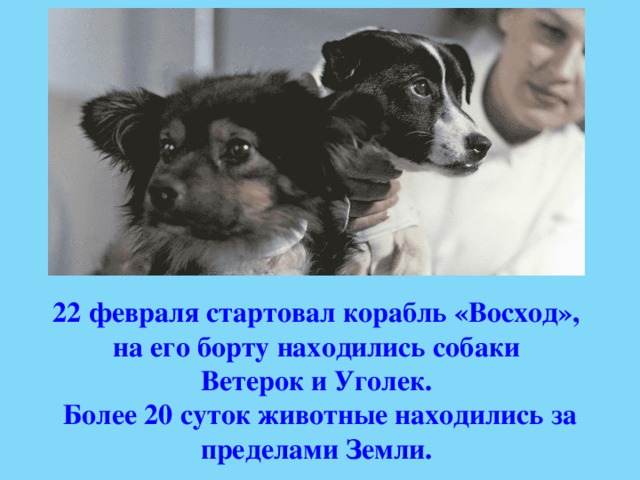 22 февраля стартовал корабль «Восход», на его борту находились собаки Ветерок и Уголек. Более 20 суток животные находились за пределами Земли. 