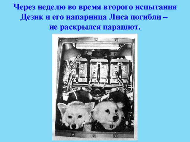 Через неделю во время второго испытания Дезик и его напарница Лиса погибли – не раскрылся парашют. 