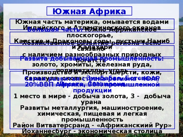 Южная Африка Южная часть материка, омывается водами Индийского и Атлантического океанов Большая часть: Южно-Африканское плоскогорье, Капские и Драконовы горы, пустыни Намиб и Калахари Хозяйственное развитие региона тесно связано с наличием разнообразных природных богатств  Развита добы­вающая промышленность: золото, хромиты, железная руда, полиметаллы, уголь Производство и экспорт шерсти, кожи, каракуля, скота: Зимбабве, Ботсвана, Лесото, Свазиленд   Самая развитая страна региона – ЮАР 20%ВВП Африки, 30% промышленной продукции 1 место в мире - добыча золота, 3 - добыча урана Развиты металлургия, машиностроение, химическая, пищевая и легкая промышленность Район Витватерсранд - «Африканскиий Рур» Йоханнесбург - экономическая сто­лица страны   