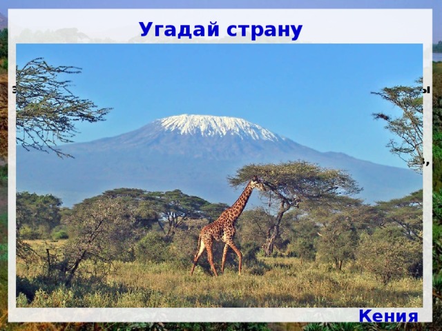 Угадай страну Одна из красивейших африканских стран. Происхождение названия этой жаркой страны на экваторе связано с именем покрытой снегом вершины горы потухшего вулкана. Ее название на языке местных жителей означает «белая гора». В стране находится несколько национальных парков,  где охраняются слоны, жирафы, леопарды, львы, антилопы и другие животные. Население принадлежит более чем к 40 различным народам и племенам: банту, нилоты, кушиты, европейцы и арабы. Кения 