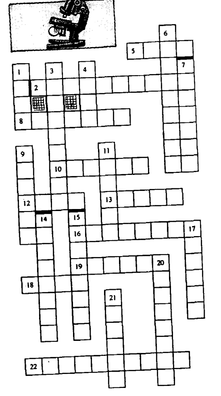 Кроссворд клетка. Кроссворд клеточное строение. Кроссворд на тему внутреннего строения клетки. Кроссворд составные части клетки. Кроссворд по клеточной теории.