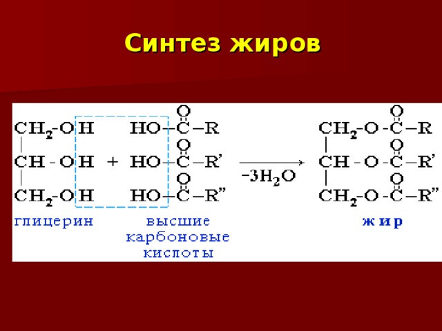 Синтез жиров 