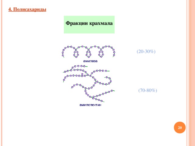 4. Полисахариды  Фракции крахмала  (20-30%) (70-80%) 13 