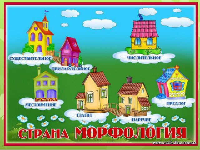 Схема на тему морфология