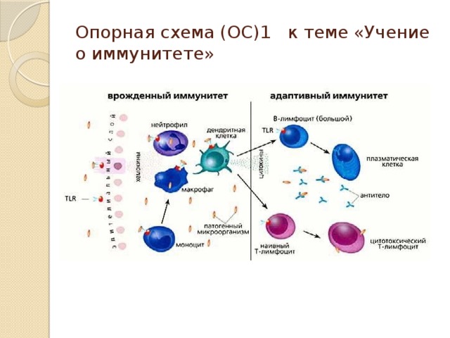 Опорный столик ос 1