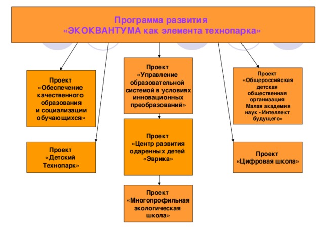 Проект цифровая школа