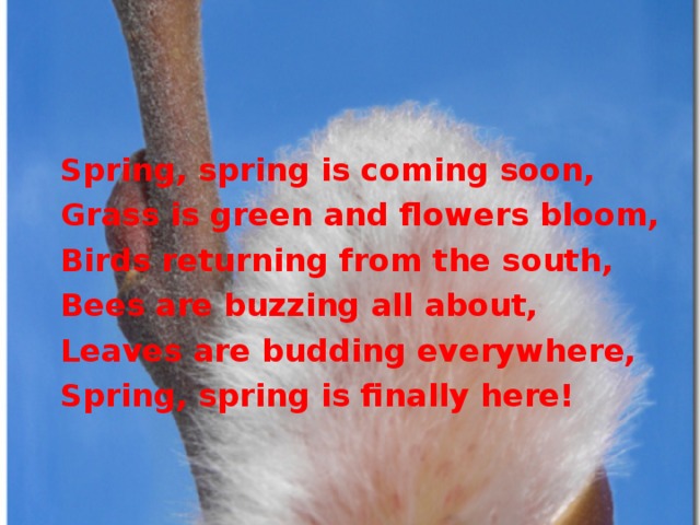Spring, spring is coming soon, Grass is green and flowers bloom, Birds returning from the south, Bees are buzzing all about, Leaves are budding everywhere, Spring, spring is finally here!  