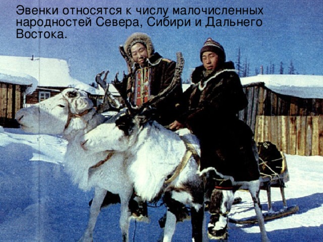 Эвенки относятся к числу малочисленных народностей Севера, Сибири и Дальнего Востока. 