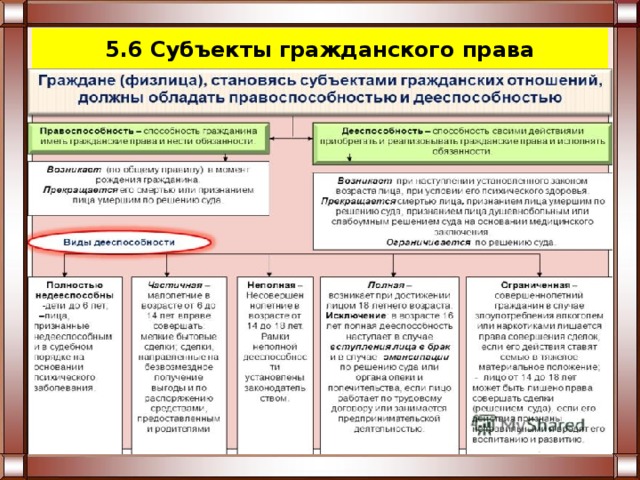 5.6 Субъекты гражданского права 