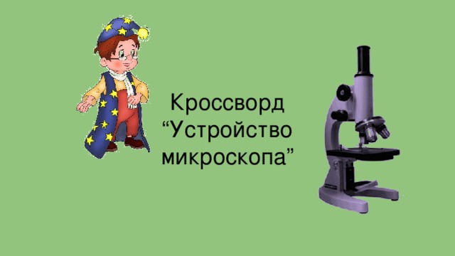 Прибор 5 класс. Кроссворд по теме увеличительные приборы 5 класс биология. Кроссворд по теме увеличительные приборы. Кроссворд увеличительные приборы. Кроссворд на тему устройство увеличительных приборов.