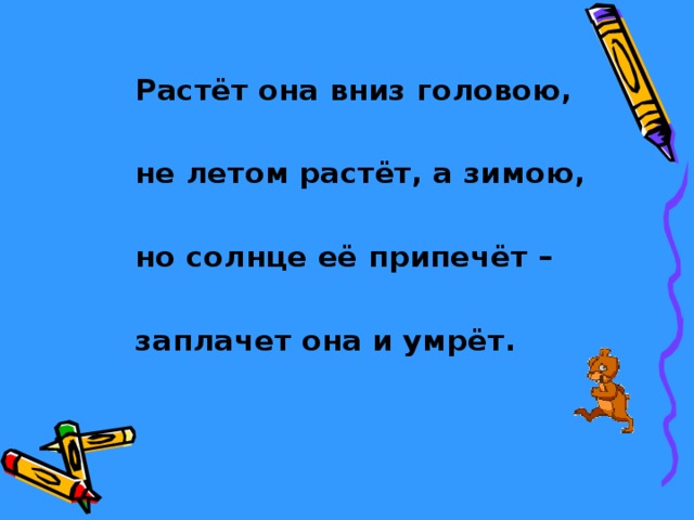 Растёт она вниз головою,  не летом растёт, а зимою,  но солнце её припечёт –  заплачет она и умрёт. 