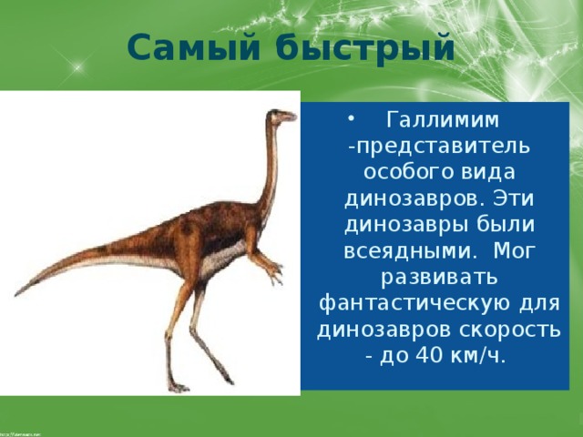 Самый быстрый   Галлимим -представитель особого вида динозавров. Эти динозавры были всеядными.  Мог развивать фантастическую для динозавров скорость - до 40 км/ч.  