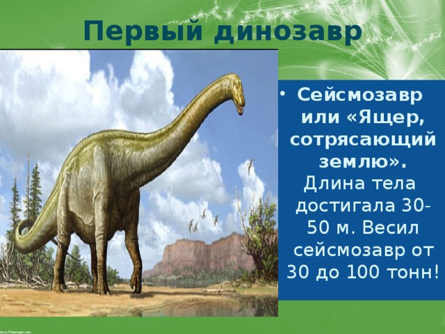 Первый динозавр Сейсмозавр или «Ящер, сотрясающий землю». Длина тела достигала 30- 50 м. Весил сейсмозавр от 30 до 100 тонн!  