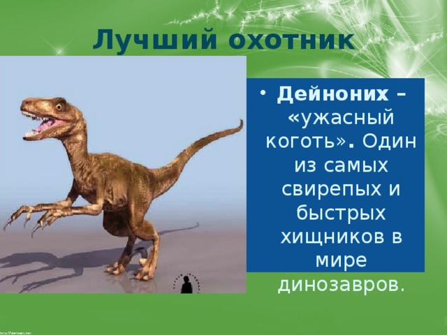 Лучший охотник Дейноних – « ужасный коготь» . Один из самых свирепых и быстрых хищников в мире динозавров. 