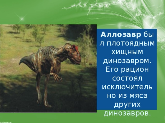 Аллозавр  был плотоядным хищным динозавром. Его рацион состоял исключительно из мяса других динозавров. 