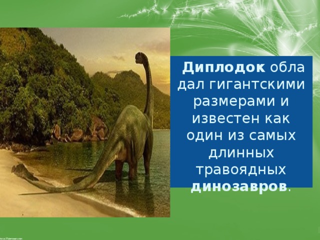   Диплодок  обладал гигантскими размерами и известен как один из самых длинных травоядных динозавров . 