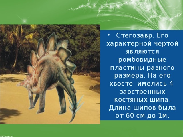 Стегозавр. Его характерной чертой являются ромбовидные пластины разного размера. На его хвосте имелись 4 заостренных костяных шипа. Длина шипов была от 60 см до 1м. 