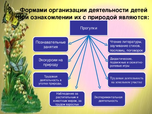 Объективные знания о природе. Формы и методы экологического воспитания дошкольников. Формы ознакомления детей с природой. Формы организации экологического воспитания дошкольников. Формы организации деятельности детей при ознакомлении с природой.