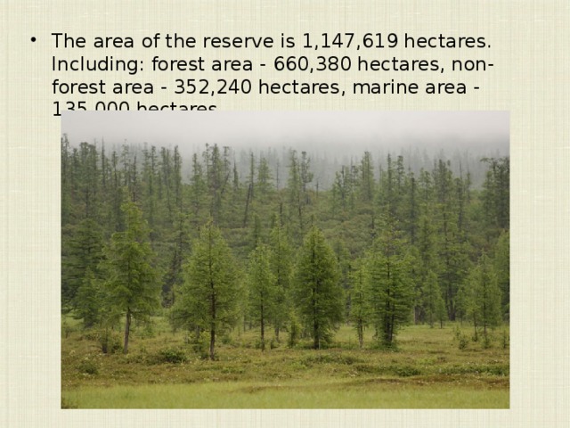 The area of the reserve is 1,147,619 hectares. Including: forest area - 660,380 hectares, non-forest area - 352,240 hectares, marine area - 135,000 hectares 