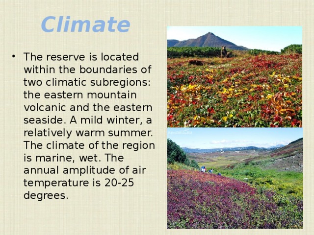 Climate The reserve is located within the boundaries of two climatic subregions: the eastern mountain volcanic and the eastern seaside. A mild winter, a relatively warm summer. The climate of the region is marine, wet. The annual amplitude of air temperature is 20-25 degrees. 