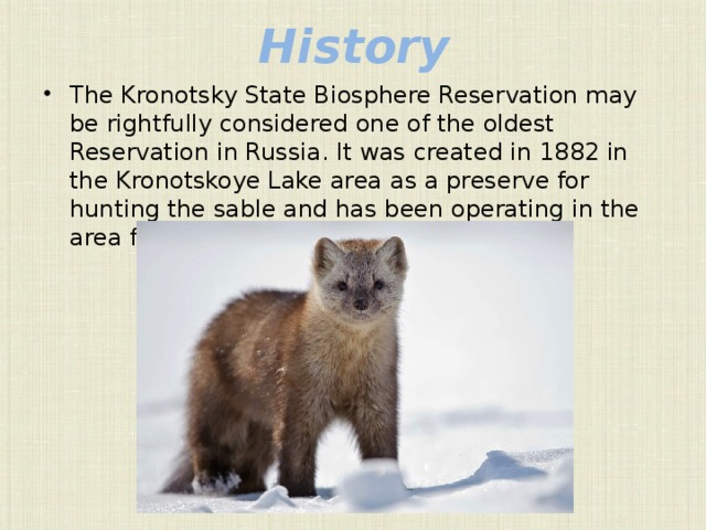 History The Kronotsky State Biosphere Reservation may be rightfully considered one of the oldest Reservation in Russia. It was created in 1882 in the Kronotskoye Lake area as a preserve for hunting the sable and has been operating in the area for more than 100 years. 