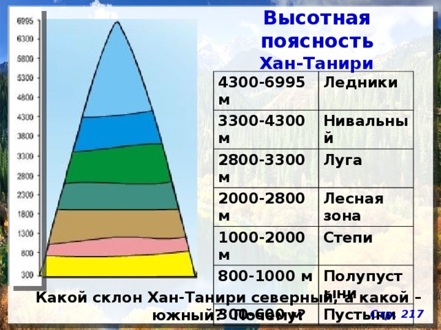 Презентация по географии 8 класс субтропики высотная поясность в горах полярная звезда