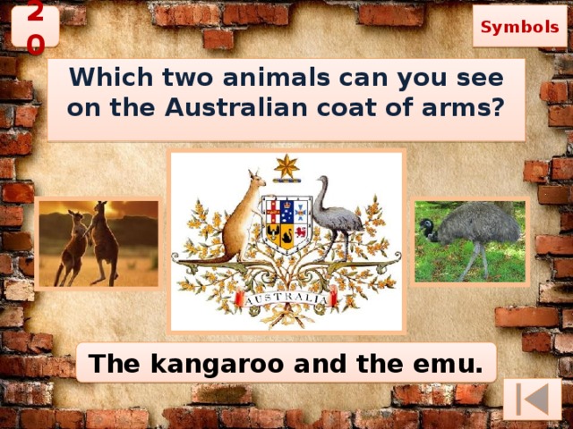 Symbols 20 Which two animals can you see on the Australian coat of arms?  The kangaroo and the emu. 