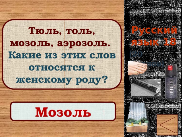 Русский язык 18 Тюль, толь, мозоль, аэрозоль. Какие из этих слов относятся к женскому роду? (20 баллов) Правильный ответ Мозоль 