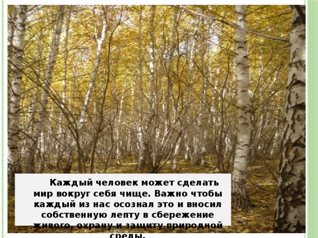  Каждый человек может сделать мир вокруг себя чище. Важно чтобы каждый из нас осознал это и вносил собственную лепту в сбережение живого, охрану и защиту природной среды. 
