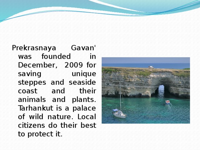 Prekrasnaya Gavan' was founded in December, 2009 for saving unique steppes and seaside coast and their animals and plants. Tarhankut is a palace of wild nature. Local citizens do their best to protect it. 