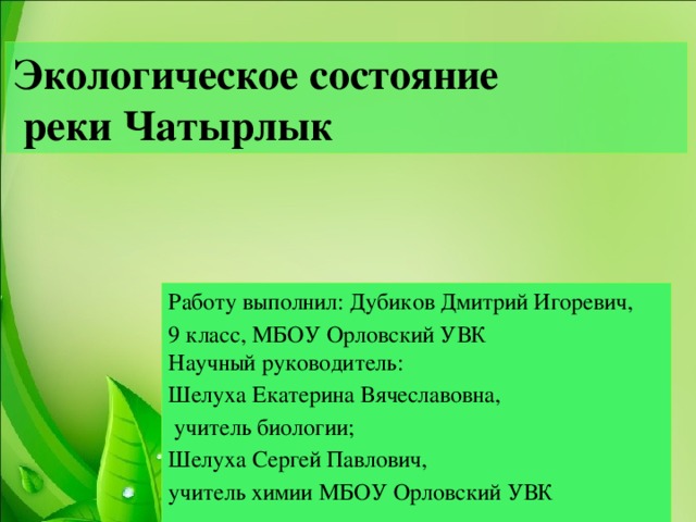 Экологическое состояние  реки Чатырлык Работу выполнил: Дубиков Дмитрий Игоревич, 9 класс, МБОУ Орловский УВК Научный руководитель: Шелуха Екатерина Вячеславовна,  учитель биологии; Шелуха Сергей Павлович, учитель химии МБОУ Орловский УВК  