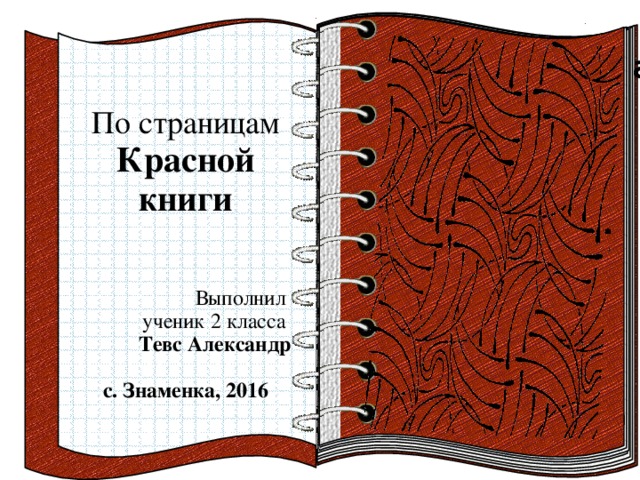 Книга выполнена