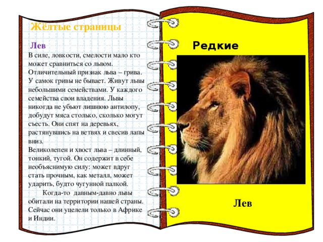 Лев какой класс. Лев красная книга. Желтая страница красной книги Лев. Лев на какой странице в красной книге. Красная книга России Лев.