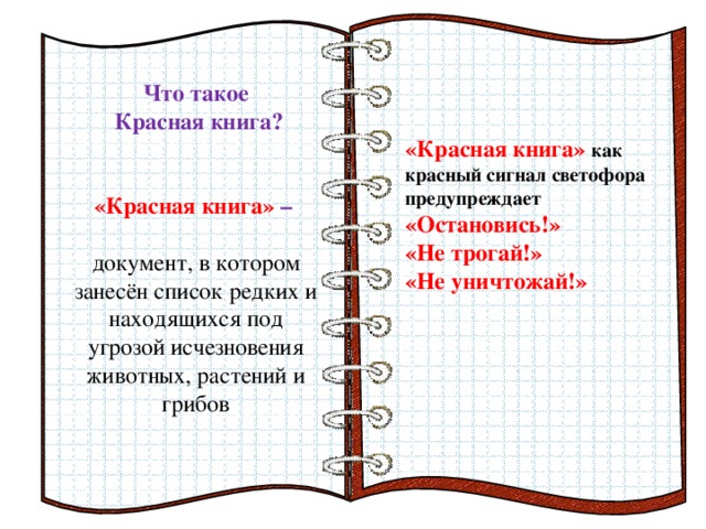 Страницы красной книги. Листы красной книги. Рисунок страницы красной книги. Все листы красной книги. Красная книга страницы нарисованные.