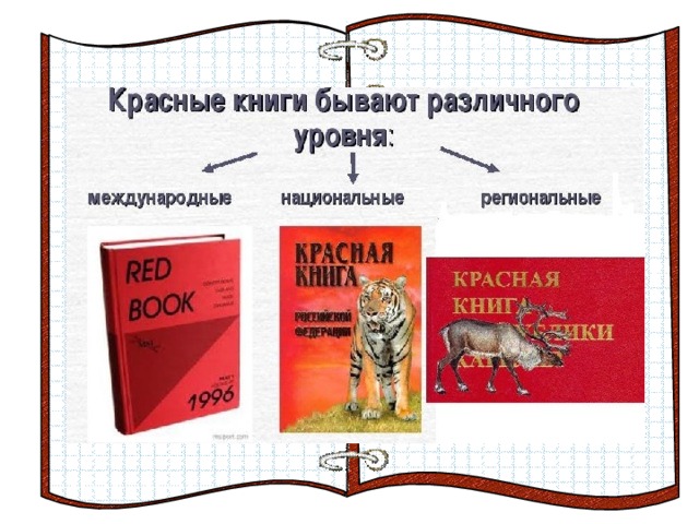 Красные книги бывают