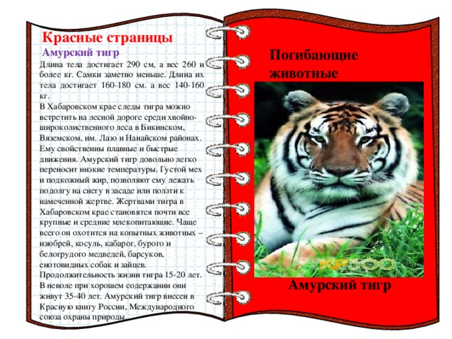 Ворд проект красная книга