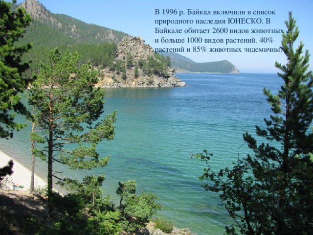 В 1996 р. Байкал включили в список природного наследия ЮНЕСКО. В Байкале обитает 2600 видов животных и больше 1000 видов растений. 40% растений и 85% животных эндемичны. 