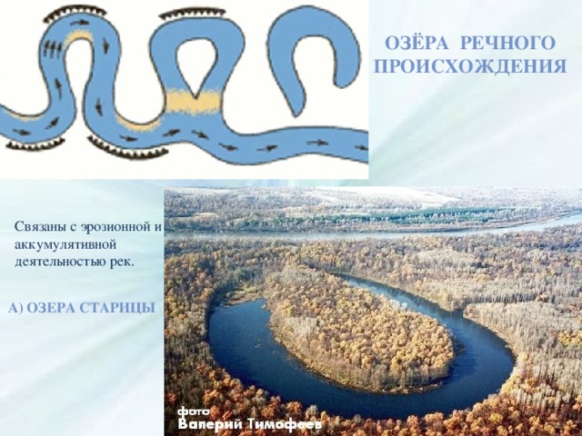 Озёра речного происхождения Связаны с эрозионной и аккумулятивной деятельностью рек. А) Озера старицы 