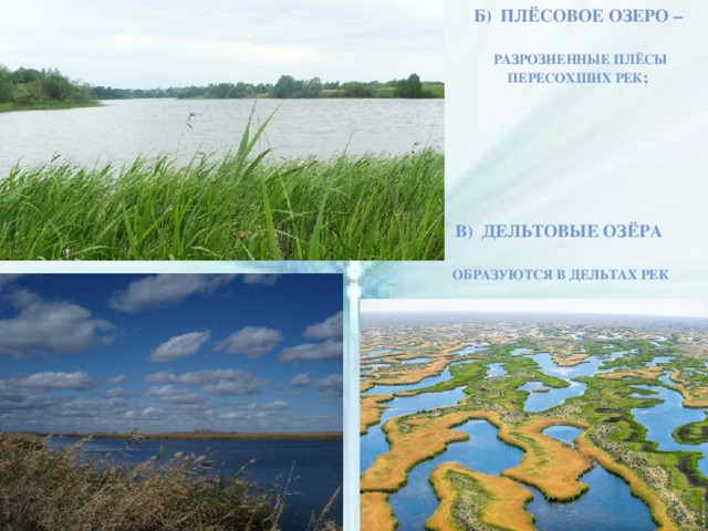 Б) плёсовое озеро –   разрозненные плёсы пересохших рек ; В) дельтовые озёра   образуются в дельтах рек 