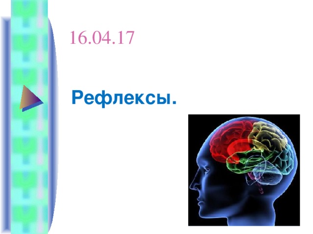 16.04.17 Рефлексы.