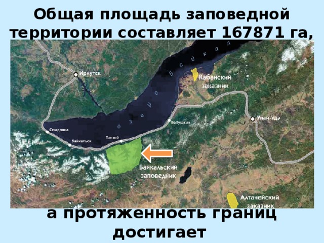 Общая площадь заповедной территории составляет 167871 га, а протяженность границ достигает 200 километров.    