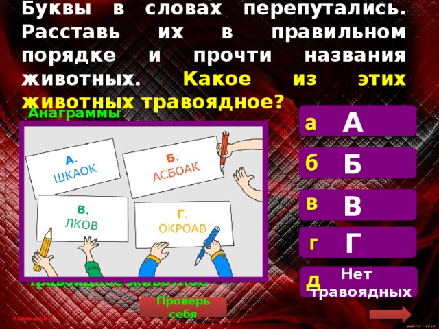 Буквы в словах перепутались. Расставь их в правильном порядке и прочти названия  животных. Какое из этих животных травоядное? А  Анаграммы расшифровываются так: А) КОШКА. Б) СОБАКА. В) ВОЛК. Г) КОРОВА. Травоядное животное – это животное, которое ест траву. Под буквой Г спрятано травоядное животное Б В Г Нет травоядных Проверь себя 