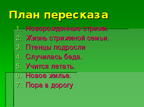 План стрижонок стриж