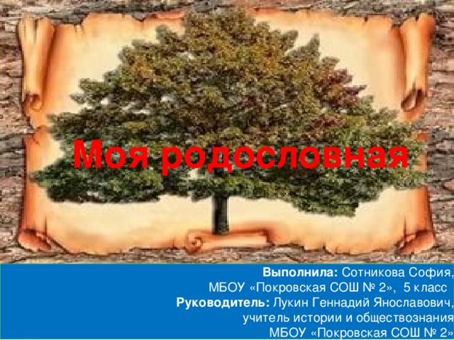 Моя родословная Выполнила: Сотникова София, МБОУ «Покровская СОШ № 2», 5 класс    Руководитель: Лукин Геннадий Янославович, учитель истории и обществознания МБОУ «Покровская СОШ № 2» 
